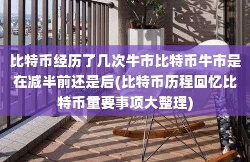 比特币经历了几次牛市比特币牛市是在减半前还是后(比特币历程回忆比特币重要事项大整理)