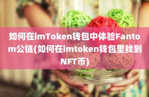 如何在imToken钱包中体验Fantom公链(如何在imtoken钱包里找到NFT币)