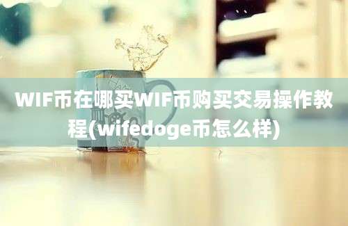 WIF币在哪买WIF币购买交易操作教程(wifedoge币怎么样)