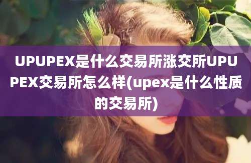 UPUPEX是什么交易所涨交所UPUPEX交易所怎么样(upex是什么性质的交易所)