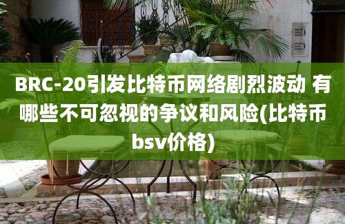 BRC-20引发比特币网络剧烈波动 有哪些不可忽视的争议和风险(比特币bsv价格)