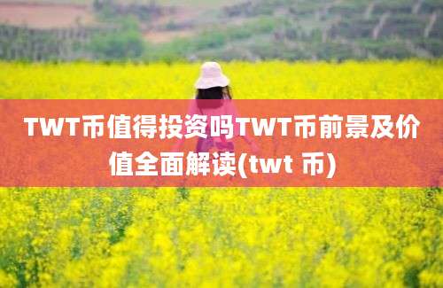 TWT币值得投资吗TWT币前景及价值全面解读(twt 币)