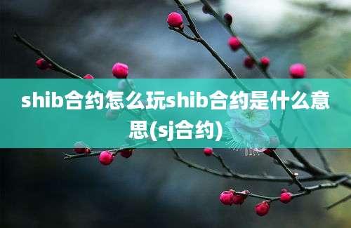 shib合约怎么玩shib合约是什么意思(sj合约)