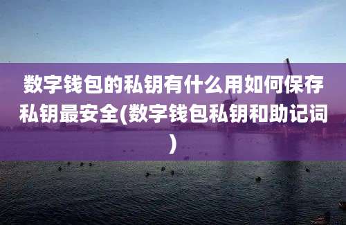 数字钱包的私钥有什么用如何保存私钥最安全(数字钱包私钥和助记词)