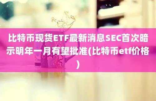 比特币现货ETF最新消息SEC首次暗示明年一月有望批准(比特币etf价格)