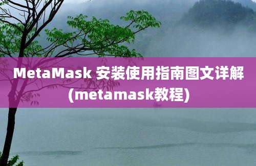 MetaMask 安装使用指南图文详解(metamask教程)