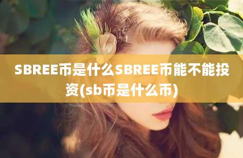 SBREE币是什么SBREE币能不能投资(sb币是什么币)