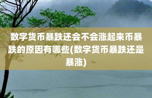 数字货币暴跌还会不会涨起来币暴跌的原因有哪些(数字货币暴跌还是暴涨)