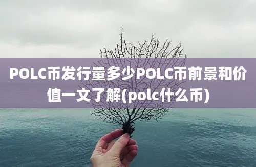 POLC币发行量多少POLC币前景和价值一文了解(polc什么币)