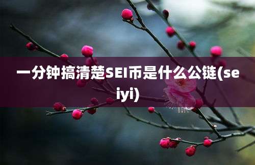 一分钟搞清楚SEI币是什么公链(seiyi)