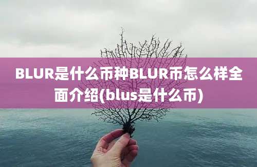 BLUR是什么币种BLUR币怎么样全面介绍(blus是什么币)