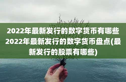 2022年最新发行的数字货币有哪些2022年最新发行的数字货币盘点(最新发行的股票有哪些)