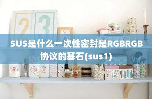 SUS是什么一次性密封是RGBRGB协议的基石(sus1)