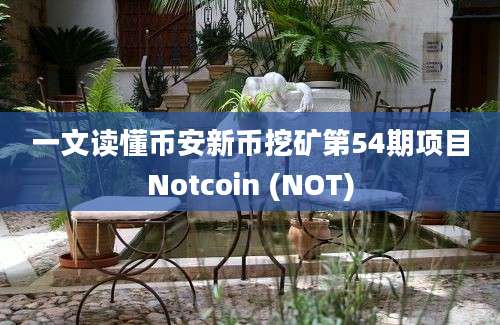 一文读懂币安新币挖矿第54期项目Notcoin (NOT)