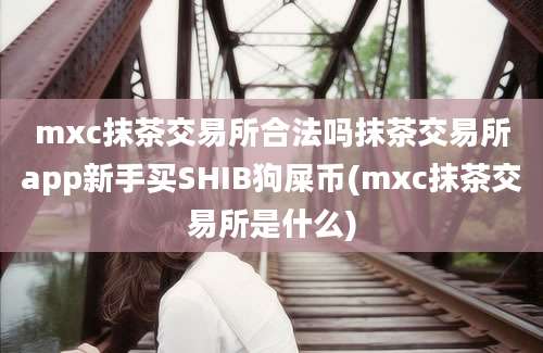 mxc抹茶交易所合法吗抹茶交易所app新手买SHIB狗屎币(mxc抹茶交易所是什么)