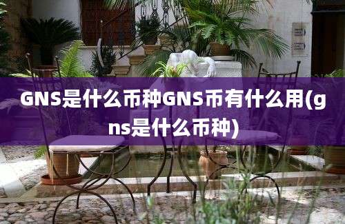 GNS是什么币种GNS币有什么用(gns是什么币种)