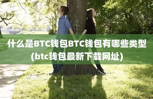 什么是BTC钱包BTC钱包有哪些类型(btc钱包最新下载网址)