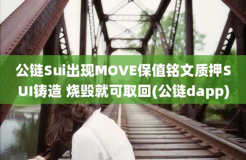 公链Sui出现MOVE保值铭文质押SUI铸造 烧毁就可取回(公链dapp)