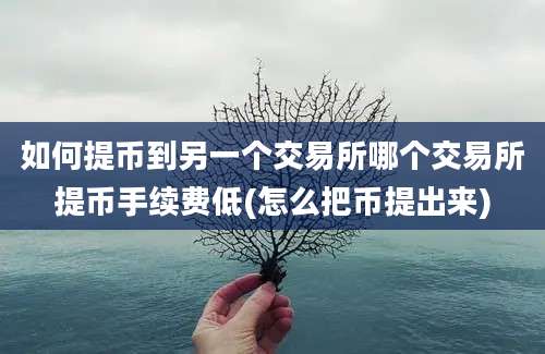 如何提币到另一个交易所哪个交易所提币手续费低(怎么把币提出来)