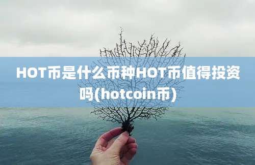 HOT币是什么币种HOT币值得投资吗(hotcoin币)