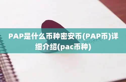 PAP是什么币种密安币(PAP币)详细介绍(pac币种)