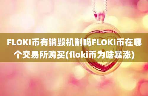 FLOKI币有销毁机制吗FLOKI币在哪个交易所购买(floki币为啥暴涨)