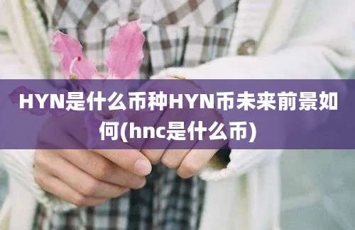 HYN是什么币种HYN币未来前景如何(hnc是什么币)