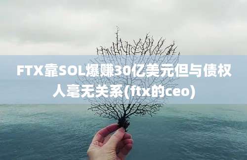 FTX靠SOL爆赚30亿美元但与债权人毫无关系(ftx的ceo)