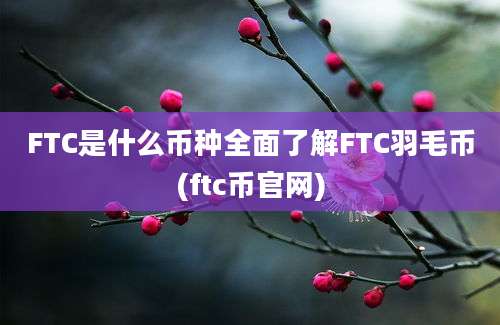 FTC是什么币种全面了解FTC羽毛币(ftc币官网)