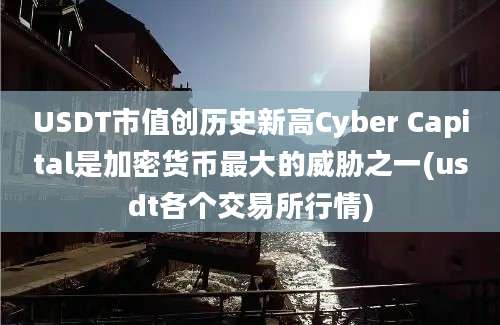 USDT市值创历史新高Cyber Capital是加密货币最大的威胁之一(usdt各个交易所行情)