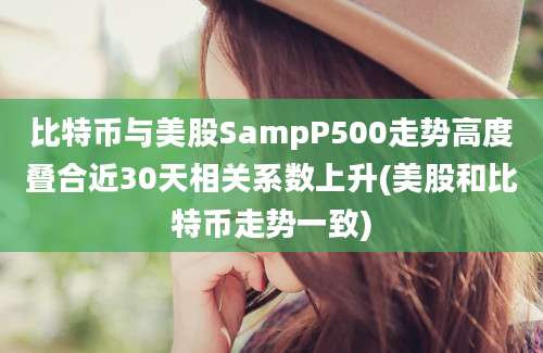 比特币与美股SampP500走势高度叠合近30天相关系数上升(美股和比特币走势一致)