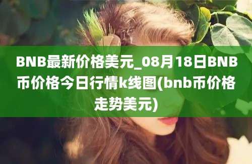 BNB最新价格美元_08月18日BNB币价格今日行情k线图(bnb币价格走势美元)