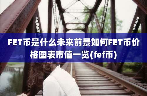 FET币是什么未来前景如何FET币价格图表市值一览(fef币)