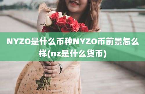 NYZO是什么币种NYZO币前景怎么样(nz是什么货币)