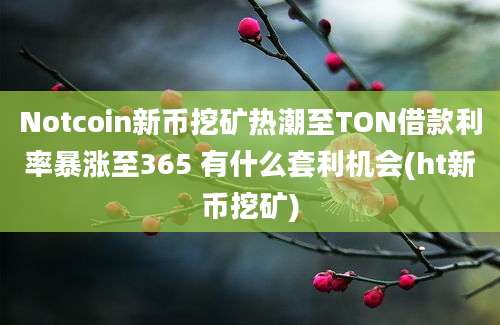 Notcoin新币挖矿热潮至TON借款利率暴涨至365 有什么套利机会(ht新币挖矿)