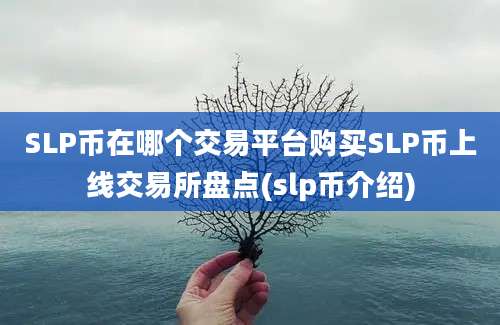 SLP币在哪个交易平台购买SLP币上线交易所盘点(slp币介绍)