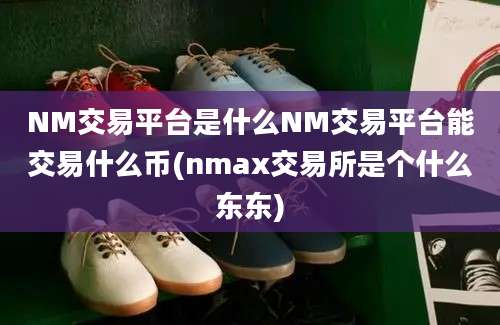 NM交易平台是什么NM交易平台能交易什么币(nmax交易所是个什么东东)