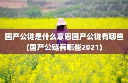 国产公链是什么意思国产公链有哪些(国产公链有哪些2021)