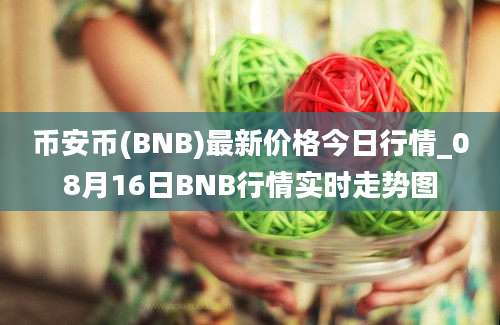 币安币(BNB)最新价格今日行情_08月16日BNB行情实时走势图