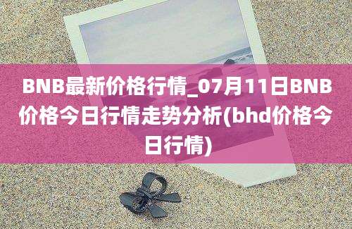 BNB最新价格行情_07月11日BNB价格今日行情走势分析(bhd价格今日行情)