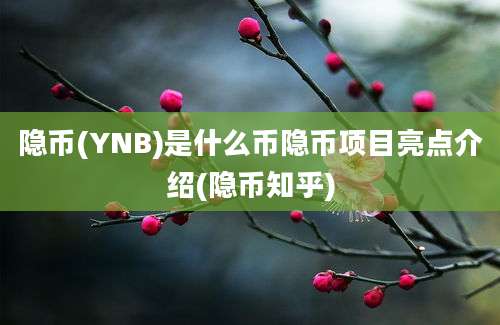 隐币(YNB)是什么币隐币项目亮点介绍(隐币知乎)