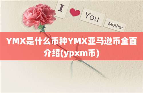 YMX是什么币种YMX亚马逊币全面介绍(ypxm币)