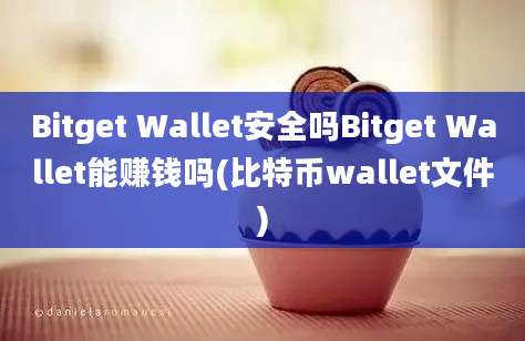 Bitget Wallet安全吗Bitget Wallet能赚钱吗(比特币wallet文件)