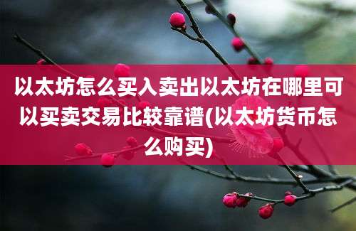 以太坊怎么买入卖出以太坊在哪里可以买卖交易比较靠谱(以太坊货币怎么购买)