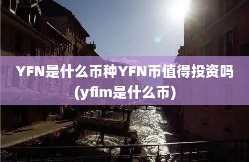 YFN是什么币种YFN币值得投资吗(yfim是什么币)