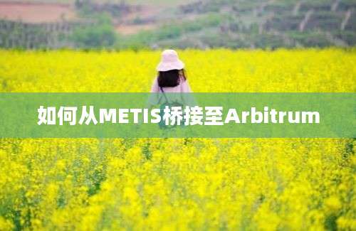 如何从METIS桥接至Arbitrum