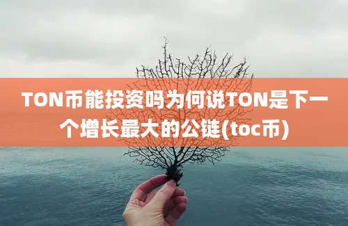 TON币能投资吗为何说TON是下一个增长最大的公链(toc币)