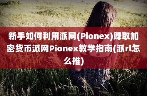 新手如何利用派网(Pionex)赚取加密货币派网Pionex教学指南(派rl怎么推)