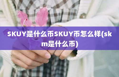 SKUY是什么币SKUY币怎么样(skm是什么币)