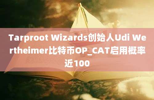 Tarproot Wizards创始人Udi Wertheimer比特币OP_CAT启用概率近100